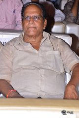 Geeta Govindham Pre Release Function Photos